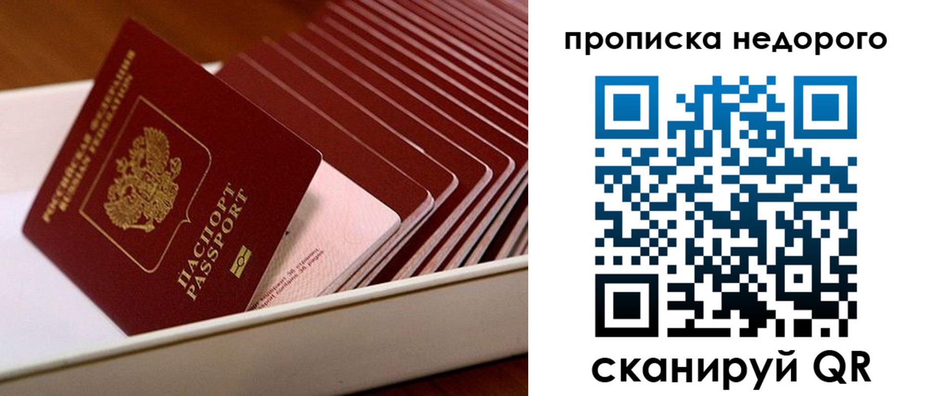 прописка паспорт в Смоленской области
